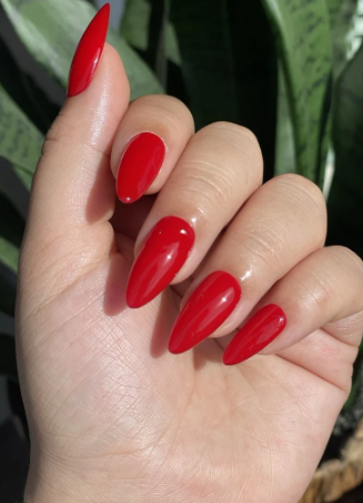 Close-up of a hand with glossy red almond-shaped nails held against a backdrop of lush green leaves.